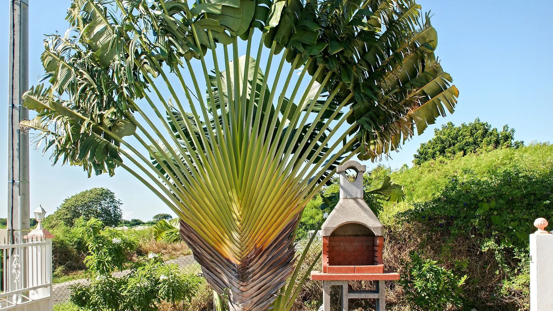 Spacious Ground-Floor Apartment In Grand-Terre, Guadeloupe With Privat Saint-Francois